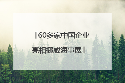 60多家中国企业亮相挪威海事展