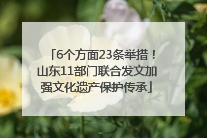 6个方面23条举措！山东11部门联合发文加强文化遗产保护传承