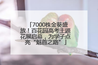 7000株金葵盛放！百花园高考主题花展启幕，为学子点亮“魁首之路”