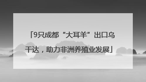 9只成都“大耳羊”出口乌干达，助力非洲养殖业发展