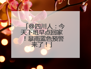 @四川人：今天下班早点回家！暴雨蓝色预警来了！