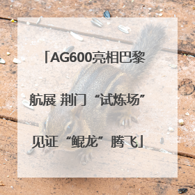 AG600亮相巴黎航展 荆门“试炼场”见证“鲲龙”腾飞