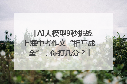 AI大模型9秒挑战上海中考作文“相互成全”，你打几分？