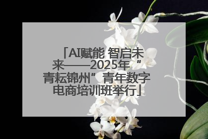 AI赋能 智启未来——2025年“青耘锦州”青年数字电商培训班举行