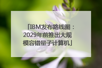 IBM发布路线图：2029年前推出大规模容错量子计算机