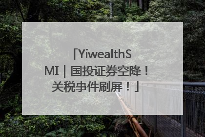 YiwealthSMI｜国投证券空降！关税事件刷屏！